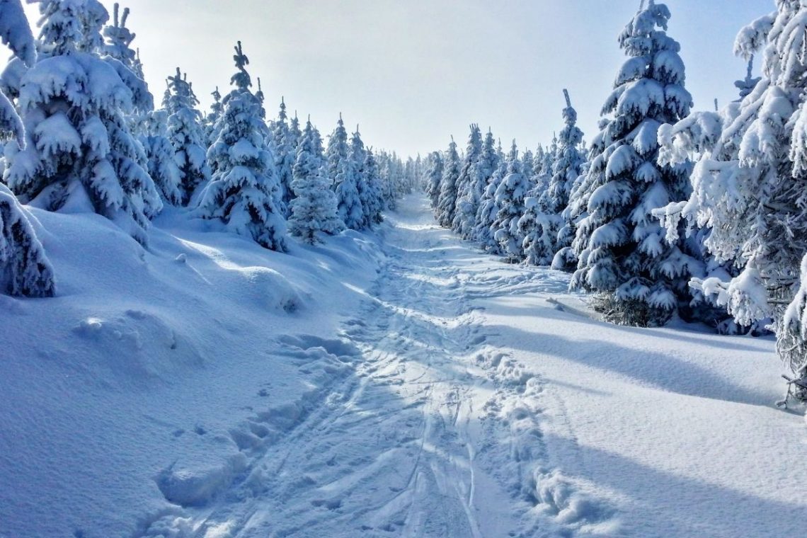 Snow Path